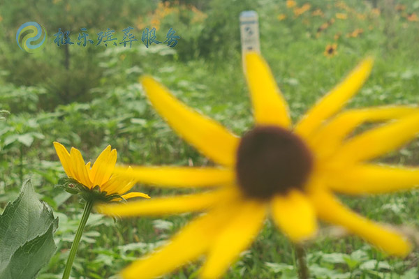 沈陽殯葬一站式服務包括哪些內(nèi)容？