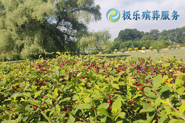 沈陽(yáng)殯葬服務(wù)有哪些不同套餐選擇？