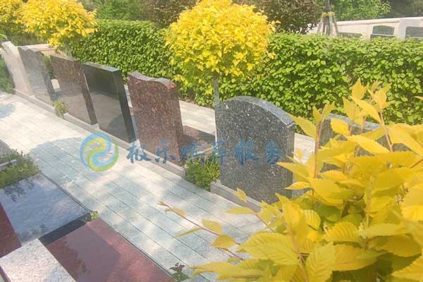 沈陽白事中壽衣的存放環(huán)境需要注意哪些細節(jié)？